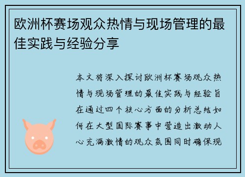 欧洲杯赛场观众热情与现场管理的最佳实践与经验分享